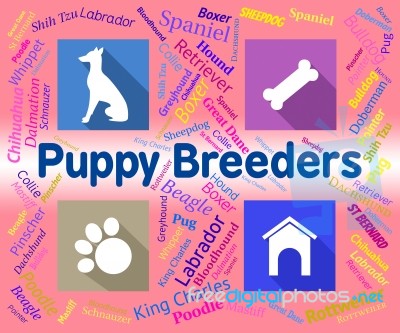 Puppy Breeders Indicates Doggy Mating And Pets Stock Image