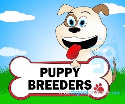 Puppy Breeders Shows Husbandry Canines And Pedigree Stock Image
