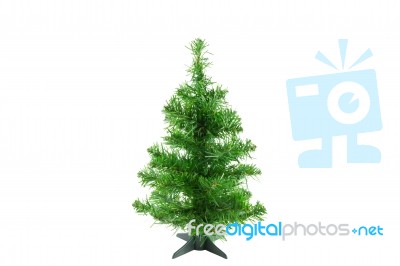 Pure Christmas Tree Stock Photo