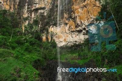 Purlingbrook Falls In Springbrook Stock Photo