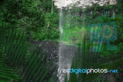 Purlingbrook Falls In Springbrook Stock Photo