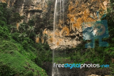 Purlingbrook Falls In Springbrook Stock Photo