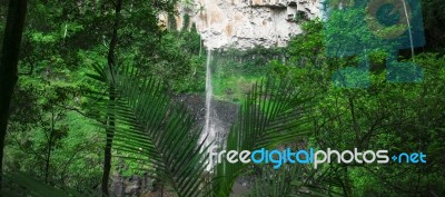 Purlingbrook Falls In Springbrook Stock Photo