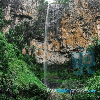 Purlingbrook Falls In Springbrook Stock Photo