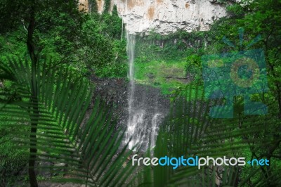 Purlingbrook Falls In Springbrook Stock Photo