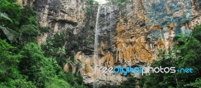 Purlingbrook Falls In Springbrook Stock Photo