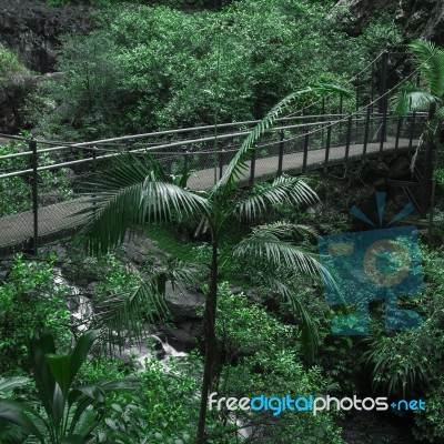 Purlingbrook Falls In Springbrook Stock Photo