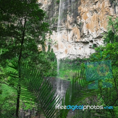 Purlingbrook Falls In Springbrook Stock Photo