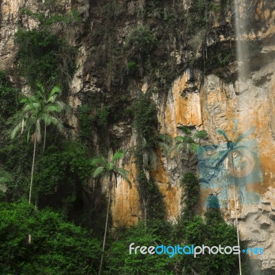 Purlingbrook Falls In Springbrook Stock Photo