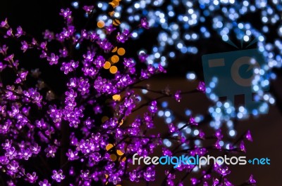 Purple And Blury Blue Lights In Backround Stock Photo