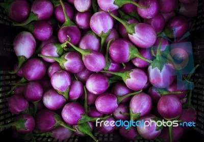 Purple Eggplant Violet King Stock Photo