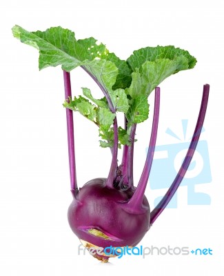 Purple Kohlrabi Isolated On The White  Background Stock Photo