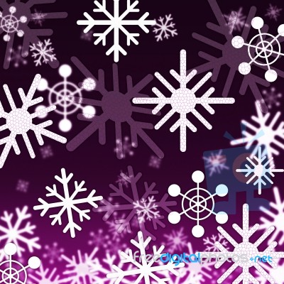 Purple Snowflakes Background Shows Snowing Winter And Seasons
 Stock Image