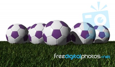 Purple Soccer Balls On A Green Grass Stock Image