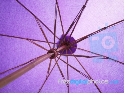 Purple Umbrella Stock Photo