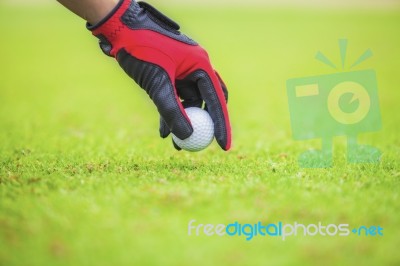 Put The Golf Ball Stock Photo