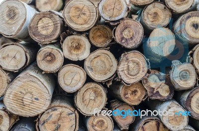 Pyre & Woodpile Stock Photo