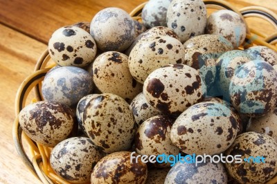 Quail Eggs Stock Photo