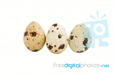 Quail Eggs Stock Photo