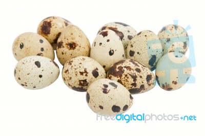 Quail Eggs Stock Photo