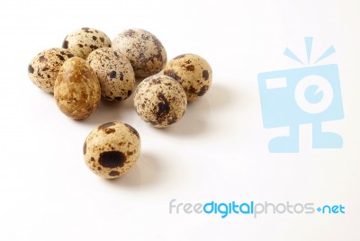 Quail Eggs Stock Photo