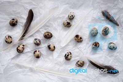 Quail Eggs Flat Lay Still Life With Food Stylish Stock Photo