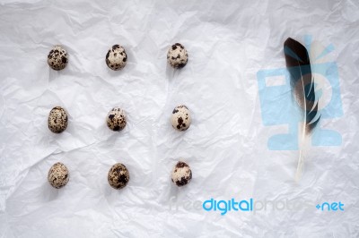 Quail Eggs Flat Lay Still Life With Food Stylish Stock Photo