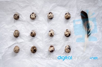 Quail Eggs Flat Lay Still Life With Food Stylish Stock Photo