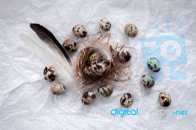 Quail Eggs Flat Lay Still Life With Food Stylish Stock Photo