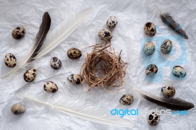 Quail Eggs Flat Lay Still Life With Food Stylish Stock Photo