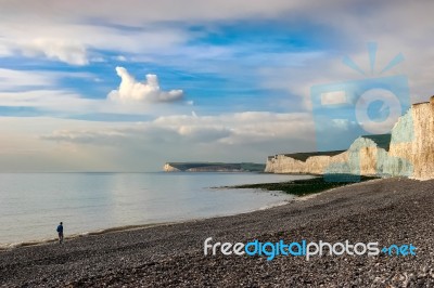 Quiet Contemplation Stock Photo