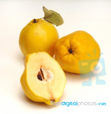 Quince Stock Photo