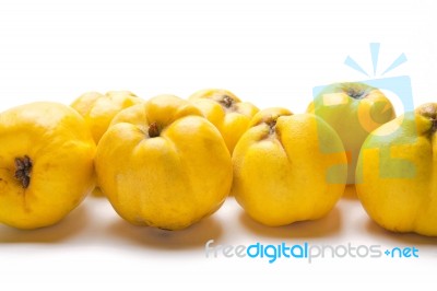 Quince Pear Stock Photo