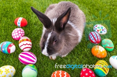 Rabbit And Easter Eggs In Green Grass Stock Photo