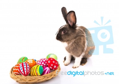 Rabbit With Easter Eggs Isolated On White Background Stock Photo