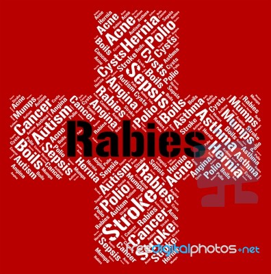 Rabies Word Indicates Poor Health And Affliction Stock Image