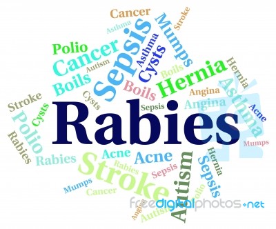 Rabies Word Means Ill Health And Afflictions Stock Image