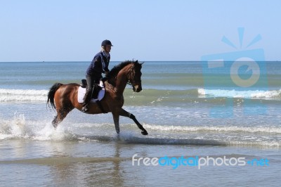 Race Horse Galloping On The Beach Stock Photo