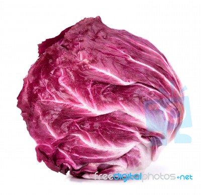 Radicchio Isolated On The White Background Stock Photo