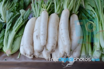 Radish, Freshly Harvested Stock Photo