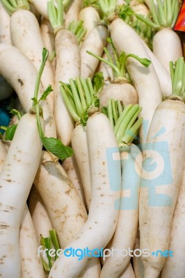 Radishes Closeup Detail Stock Photo