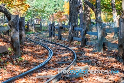 Railway In Nami Island,korea Stock Photo