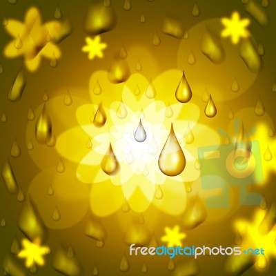 Rain Drop Shows Bloom Florals And Petal Stock Image