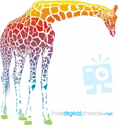 Rainbow Giraffe Stock Image