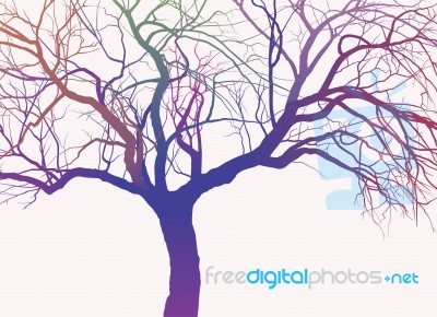 Rainbow Tree Stock Image