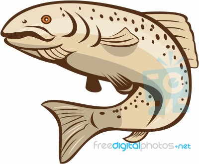 Rainbow Trout Jumping Cartoon Stock Image