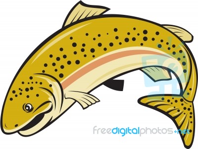 Rainbow Trout Jumping Cartoon Isolated Stock Image