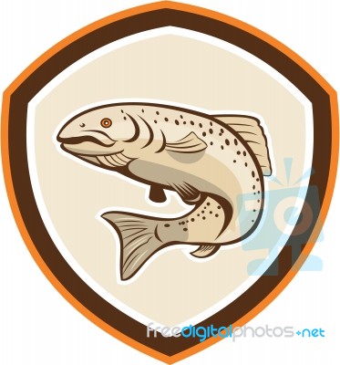 Rainbow Trout Jumping Cartoon Shield Stock Image