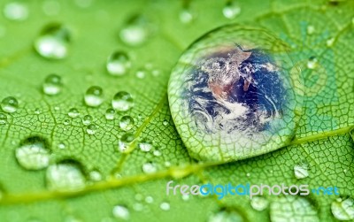 Raindrop Stock Photo