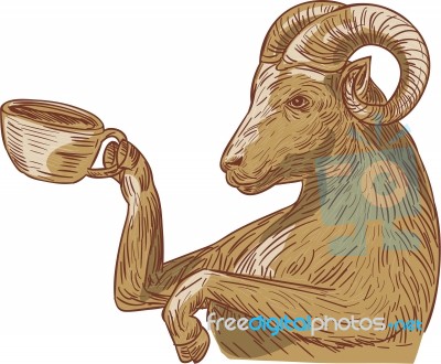 Ram Goat Drinking Coffee Drawing Stock Image